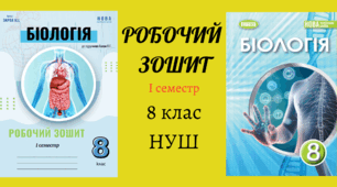 Робочий зошит 8 клас нуш І семестр до підручника Балан