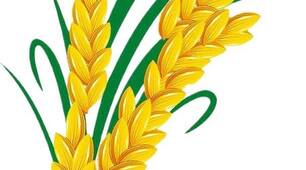 Орієнтовна характерика дитини з ООП