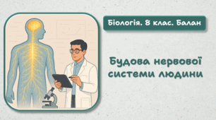 8 клас НУШ.  Будова нервової системи людини 