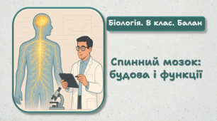 8 клас НУШ. Спинний мозок: будова та функції