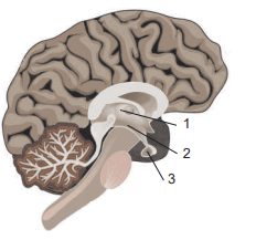 08014l4a-3ed4-232x217.png