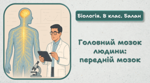 8 клас НУШ. Головний мозок людини: передній мозок 