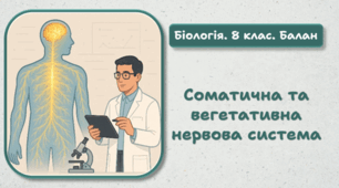 8 клас НУШ.  Соматична та вегетативна нервова система 