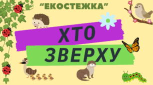 ЕкоГра "Хто Зверху"
