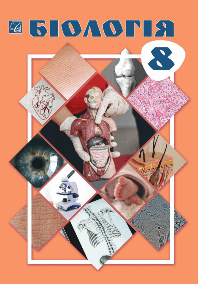 08014n8j-52a6-656x942.png
