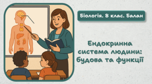 8 клас НУШ. Ендокринна система людини: будова та функції 