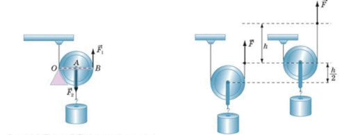 08014ogu-004d-492x194.png