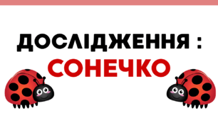 День СОНЕЧКА. Дослідження : СОНЕЧКО