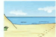 08014r89-e446-190x126.png