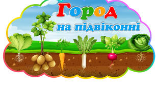 Город на підвіконні