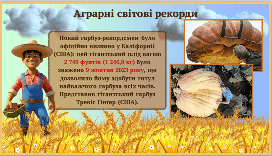 08014vwa-d4ae-940x540.png