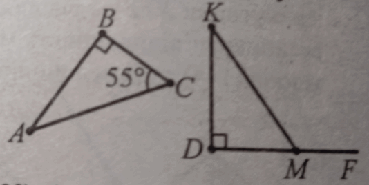 08014xdp-a6ab-534x268.png