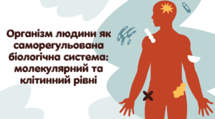 Презентація "Організм людини як саморегульована біологічна система: молекулярний та клітинний рівні"