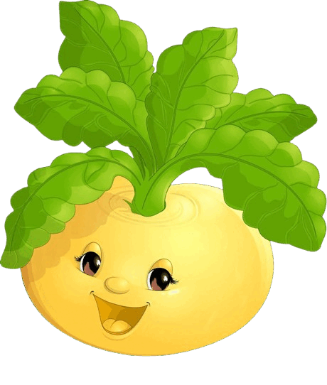 08014z7b-535c-460x542.png