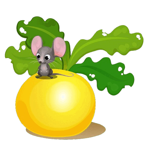 08014z7l-a867-481x519.png