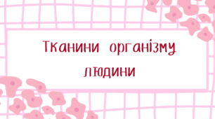 Презентація "Тканини організму людини"