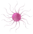 080151i1-281b-114x116.png