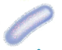 080151i6-c8fa-91x73.png