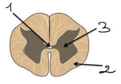 080153k3-847a-240x167.png