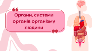 Презентація "Органи, системи органів організму людини"
