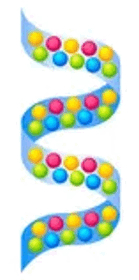 080154dw-02e6-139x280.png