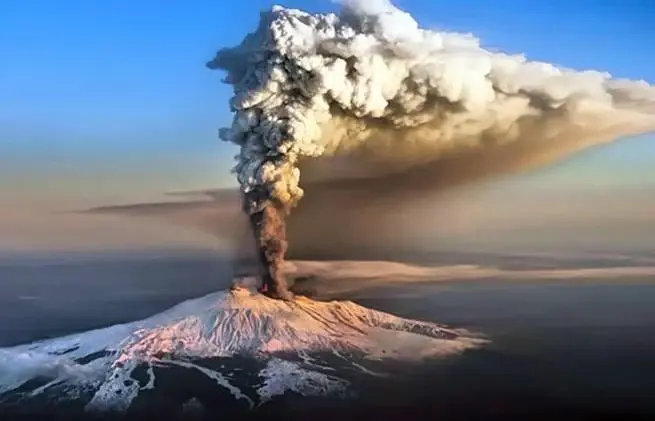 0801555o-8ecb-655x421.webp