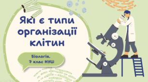 7 клас НУШ. Які є типи організації клітин