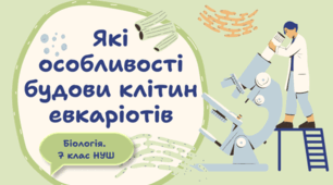 7 клас НУШ. Які особливості будови клітин евкаріотів