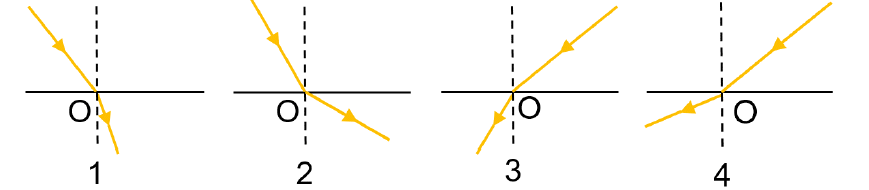 080156qd-4968-869x190.png