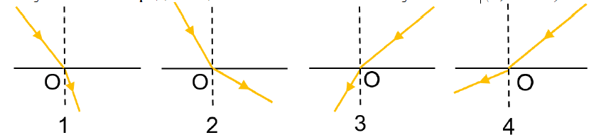 080156qm-0857-846x197.png