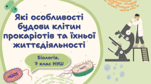 7 клас НУШ. Які особливості будови клітин прокаріотів та їхньої життєдіяльності
