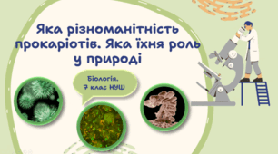 7 клас НУШ. Яка різноманітність прокаріотів. Яка їхня роль у природі