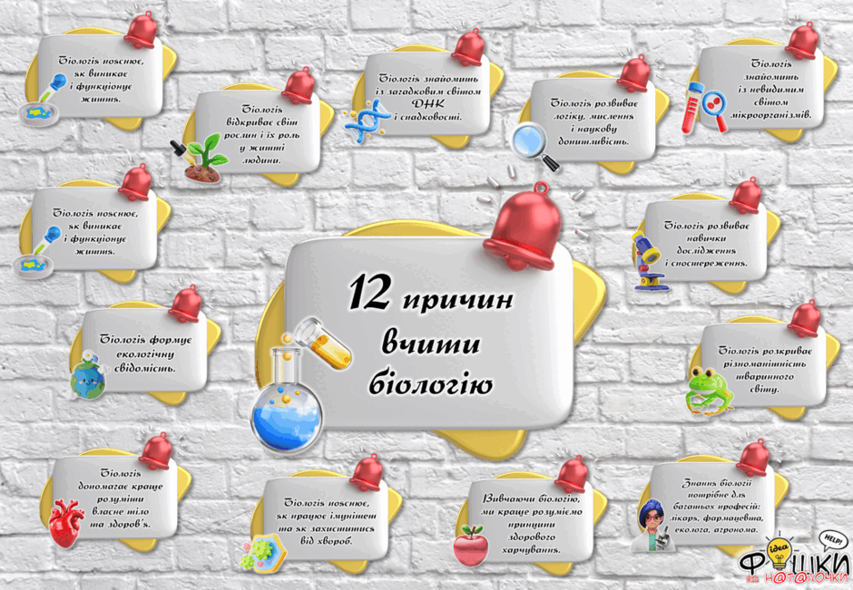080157o4-f1e5-940x651.png