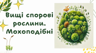7 клас НУШ. Вищі спорові рослини. Мохоподібні
