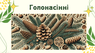 7 клас НУШ. Голонасінні