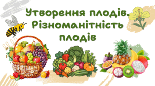 7 клас НУШ. Утворення плодів. Різноманітність плодів