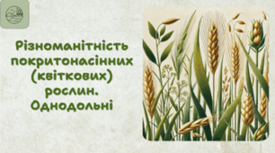 7 клас НУШ. Різноманітність покритонасінних (квіткових) рослин. Однодольні