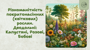 7 клас НУШ.  Різноманітність покритонасінних (квіткових) рослин. Дводольні: Капустяні, Розові, Бобові