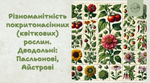 7 клас НУШ.  Різноманітність покритонасінних (квіткових) рослин. Дводольні: Пасльонові, Айстрові
