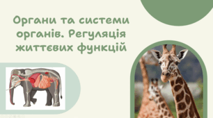 7 клас НУШ.  Органи та системи органів. Регуляція життєвих функцій
