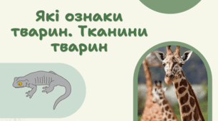 7 клас НУШ.  Які ознаки тварин. Тканини тварин