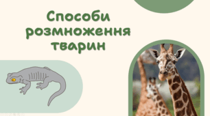 7 клас НУШ.   Способи розмноження тварин