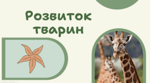 7 клас НУШ.  Розвиток тварин
