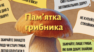 Пам'ятка грибника