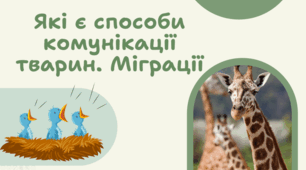 7 клас НУШ.    Які є способи комунікації тварин. Міграції