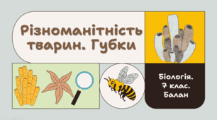 7 клас НУШ.     Різноманітність тварин. Губки