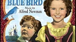 'The Blue Bird' quiz