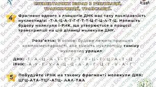 Практична робота№2. Розв`язування елементарних вправ з реплікації, транскрипції, трансляції.