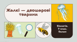 7 клас НУШ.     Жалкі — двошарові тварини