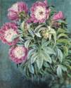08015bm7-39f8-101x125.png